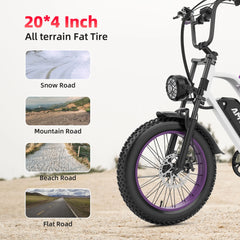 V9 G60 Electric Bike 1000W 48V 20Ah Mountain Ebike