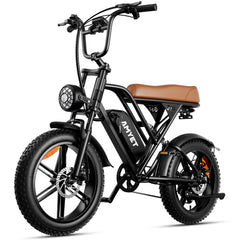 V9 G60 Electric Bike 1000W 48V 20Ah Mountain Ebike